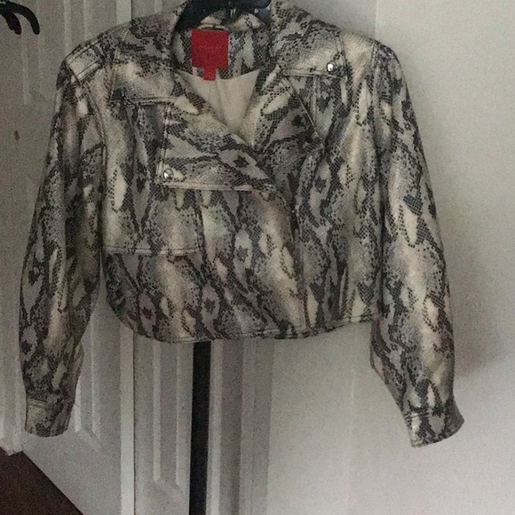 j lo snakeskin jacket - Picture 6 of 7